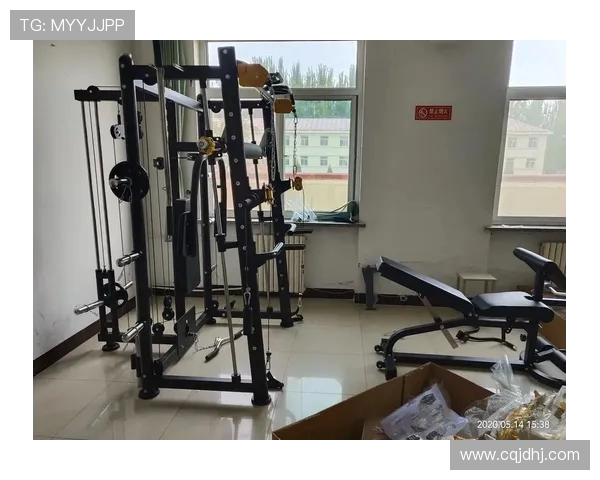 家庭健身器材销售平台对比及优惠信息总结 家庭健身器材销售平台对比及优惠信息总结
