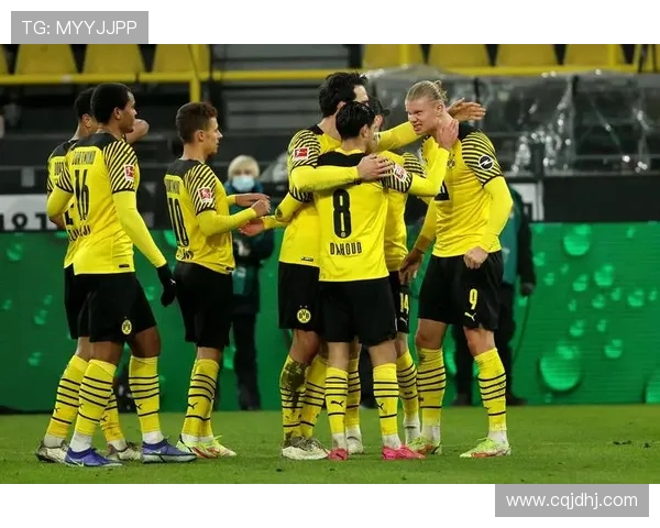 德甲球队派系图：德甲球队间的派系关系与互动