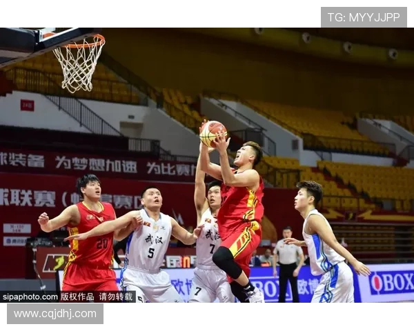 武汉CBA篮球队图片资料与球馆概况