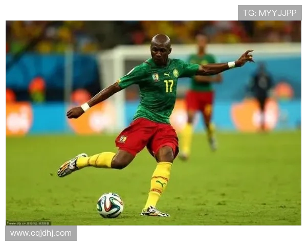 聚焦FIFA20网络世界杯比分解析与赛事走势全景回顾